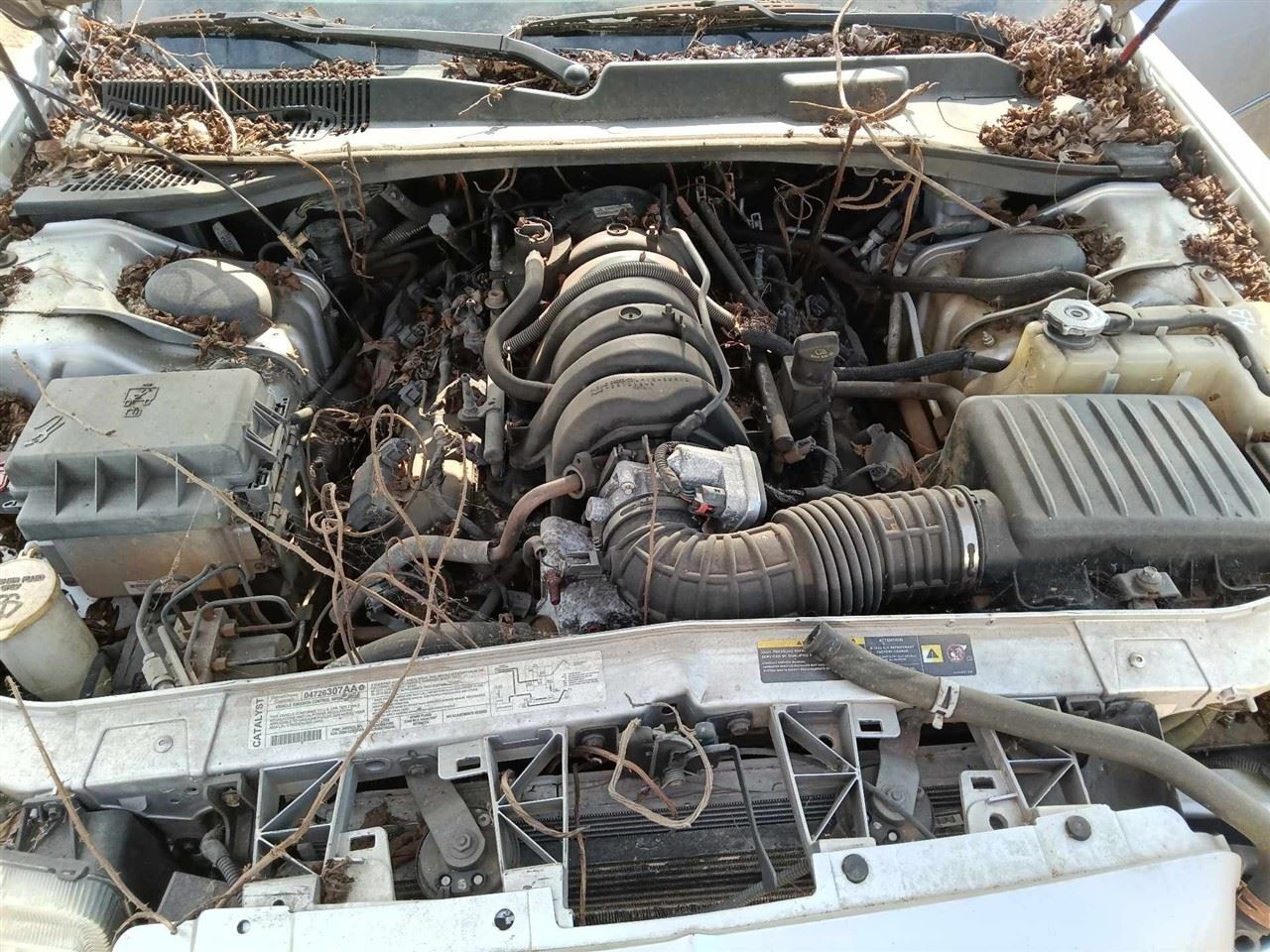 300 2006 Fuse Box Cabin 6556