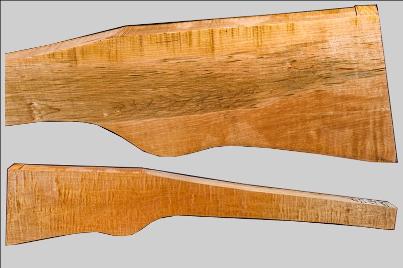 Sugar Maple rifle blank sm77