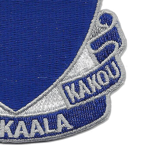299th Cavalry Regiment Patch