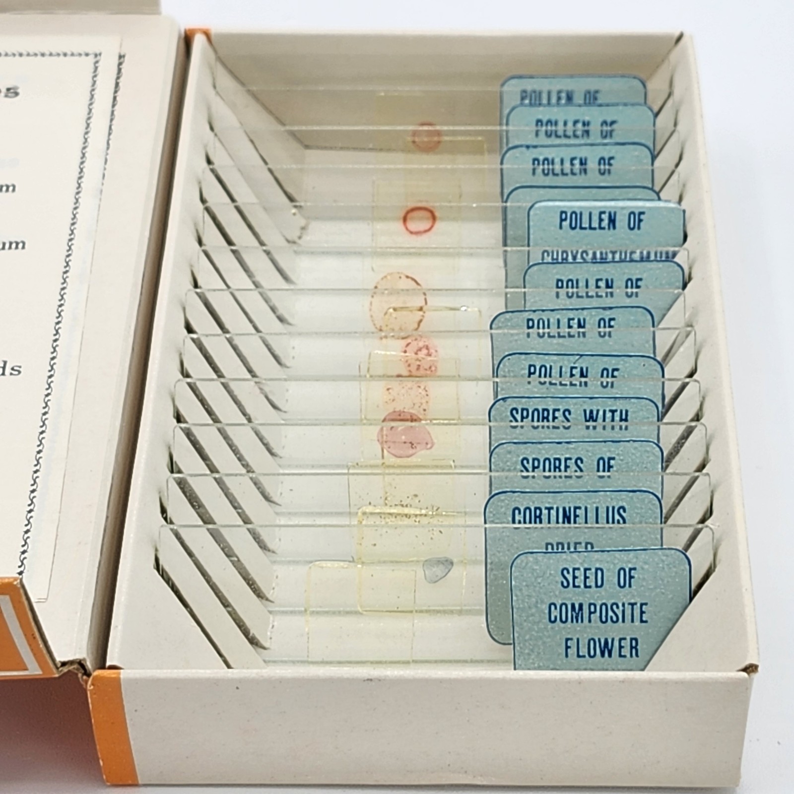 Vintage Sears Prepared Microscope Slides Pollen & Spore