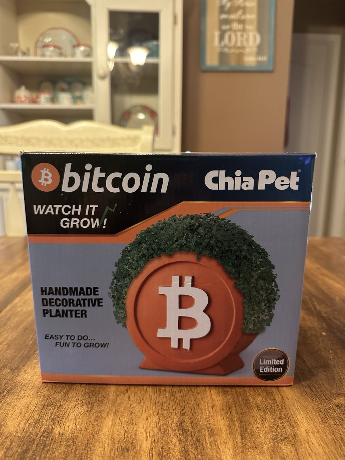 Bitcoin Chia Pet Limited Edition Crypto Decorative Planter New In Box BTC