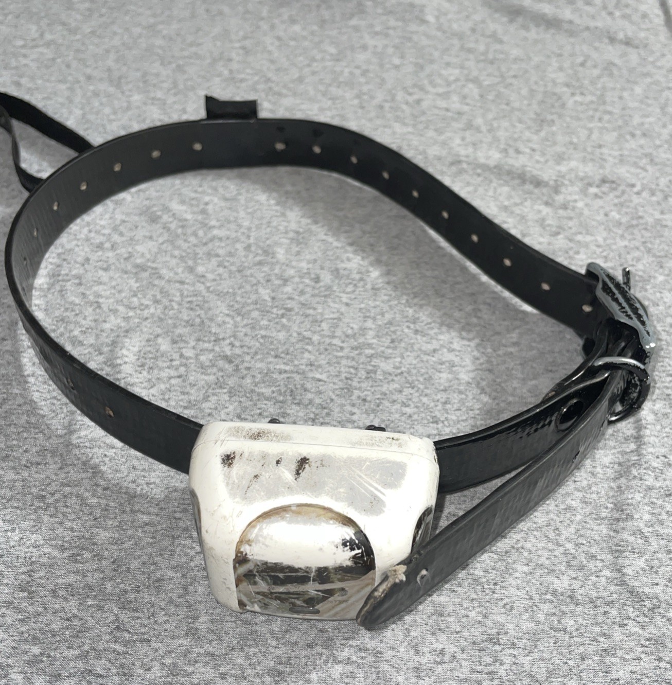 DT Systems R.A.P.T 1400 Remote Control Dog Training Collar System