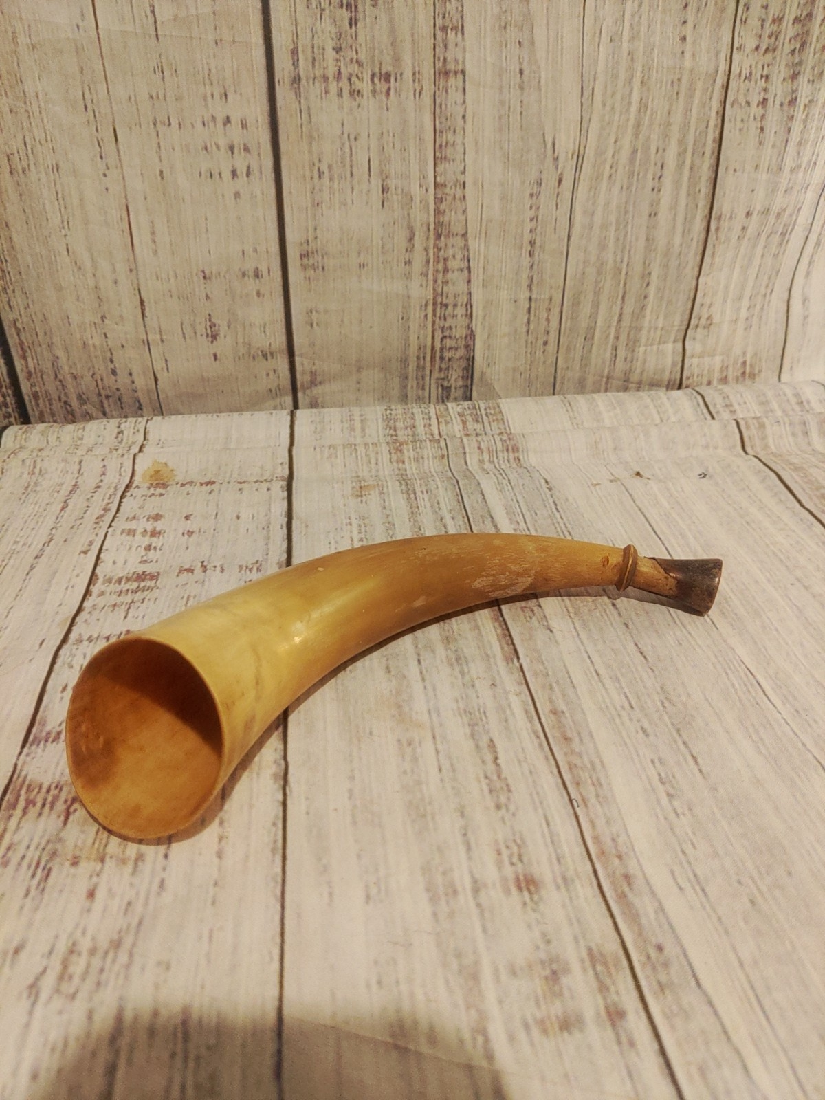 Authentic Antique Powder Horn