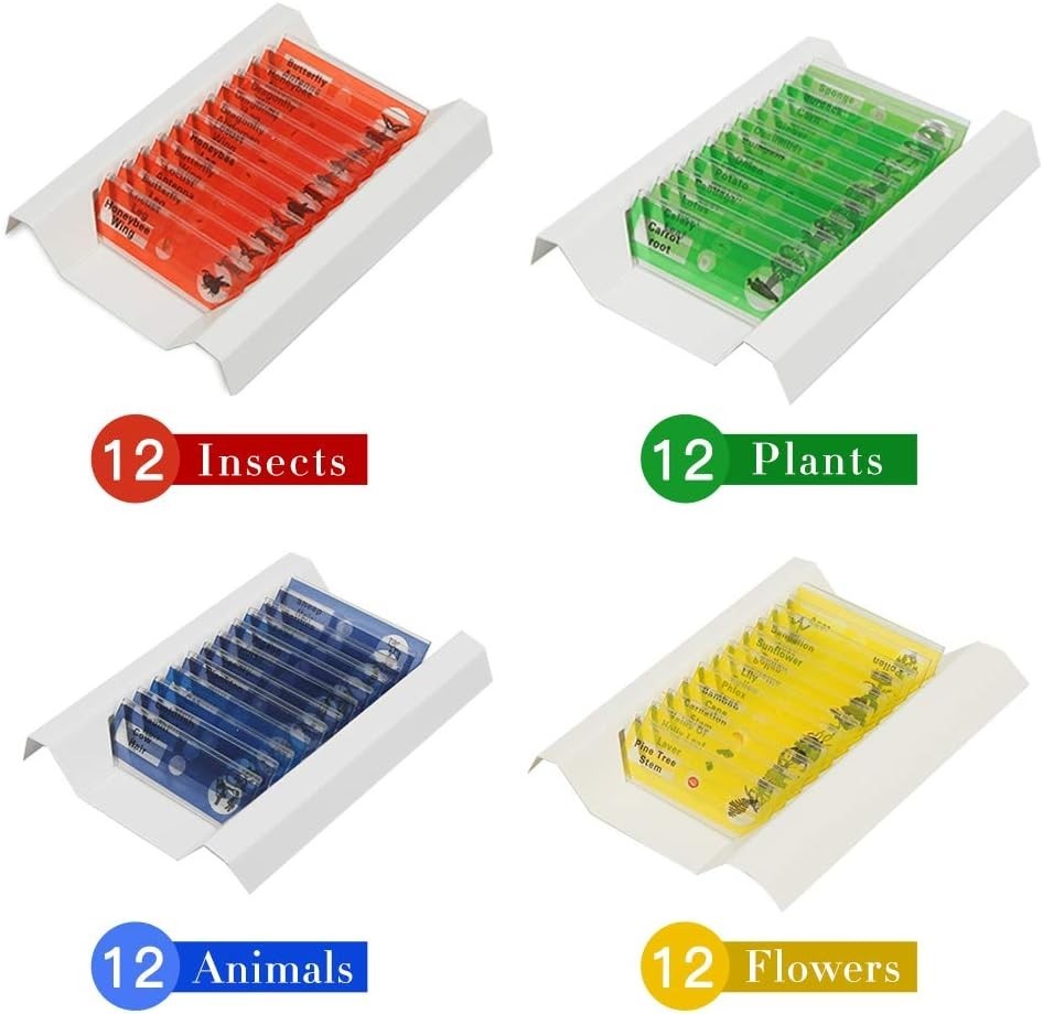 48 Prepared Microscope Slides for Kids - Safe & Clear Science Education