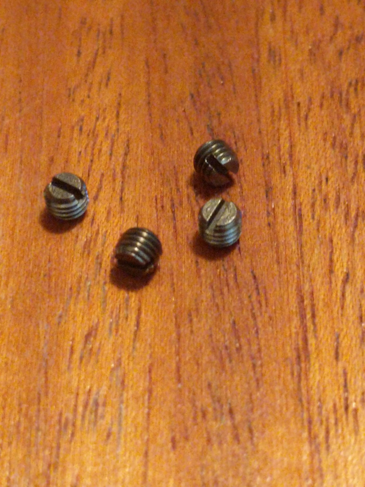 6-48 Plug Screws Stainless Steel Winchester 70 Remingtion 700 set of4 Trade Card