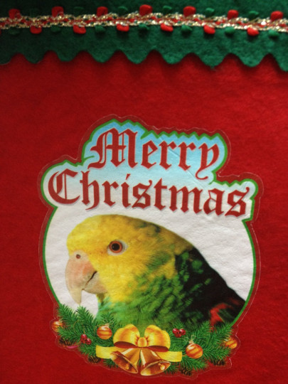 SALE!  Double Yellow Headed Amazon Parrot Exotic Bird Holiday Christmas Stocking