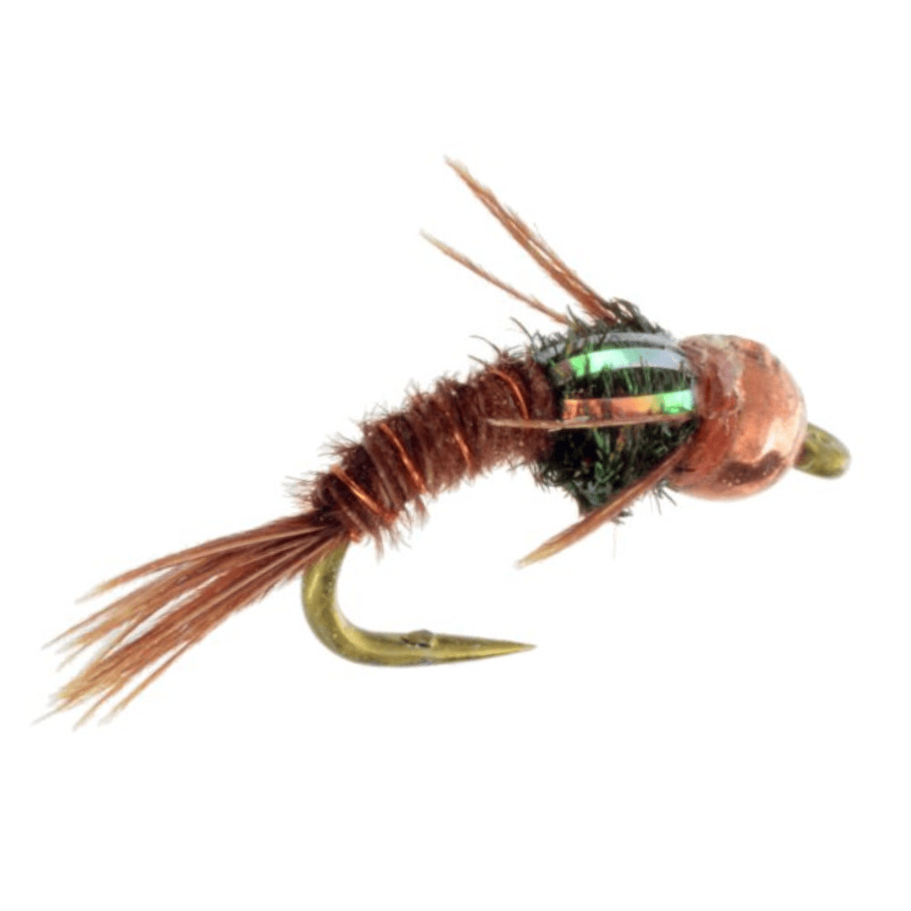 Quasimodo Pheasant Tail - Fly Fishing Flies (1 pc)