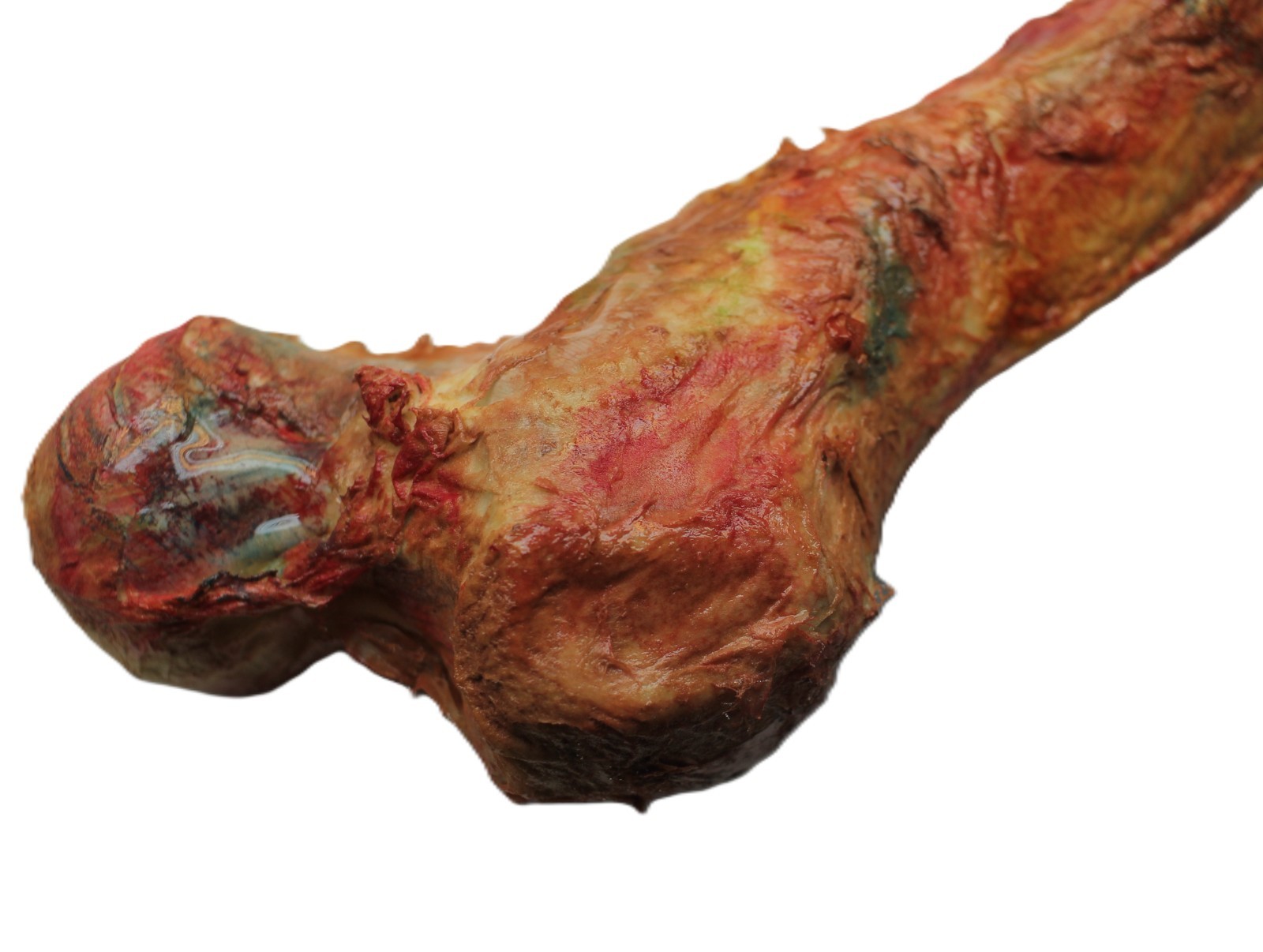 Bridgewater Triangle Human Femur Sci-Fi Horror Prop Hand Painted