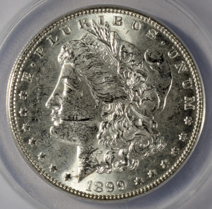 1899 Morgan Silver Dollar ANACS MS-61