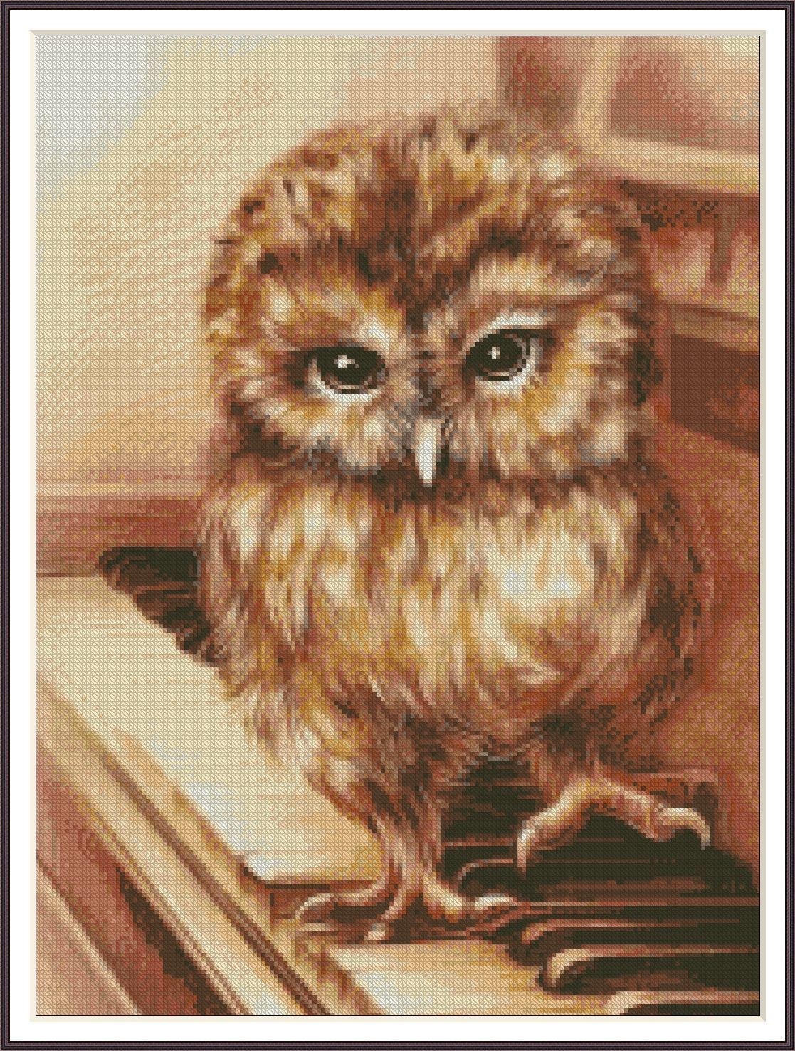 Piano Owl 177 - Chart Counted Cross Stitch Pattern Needlework Xstitch