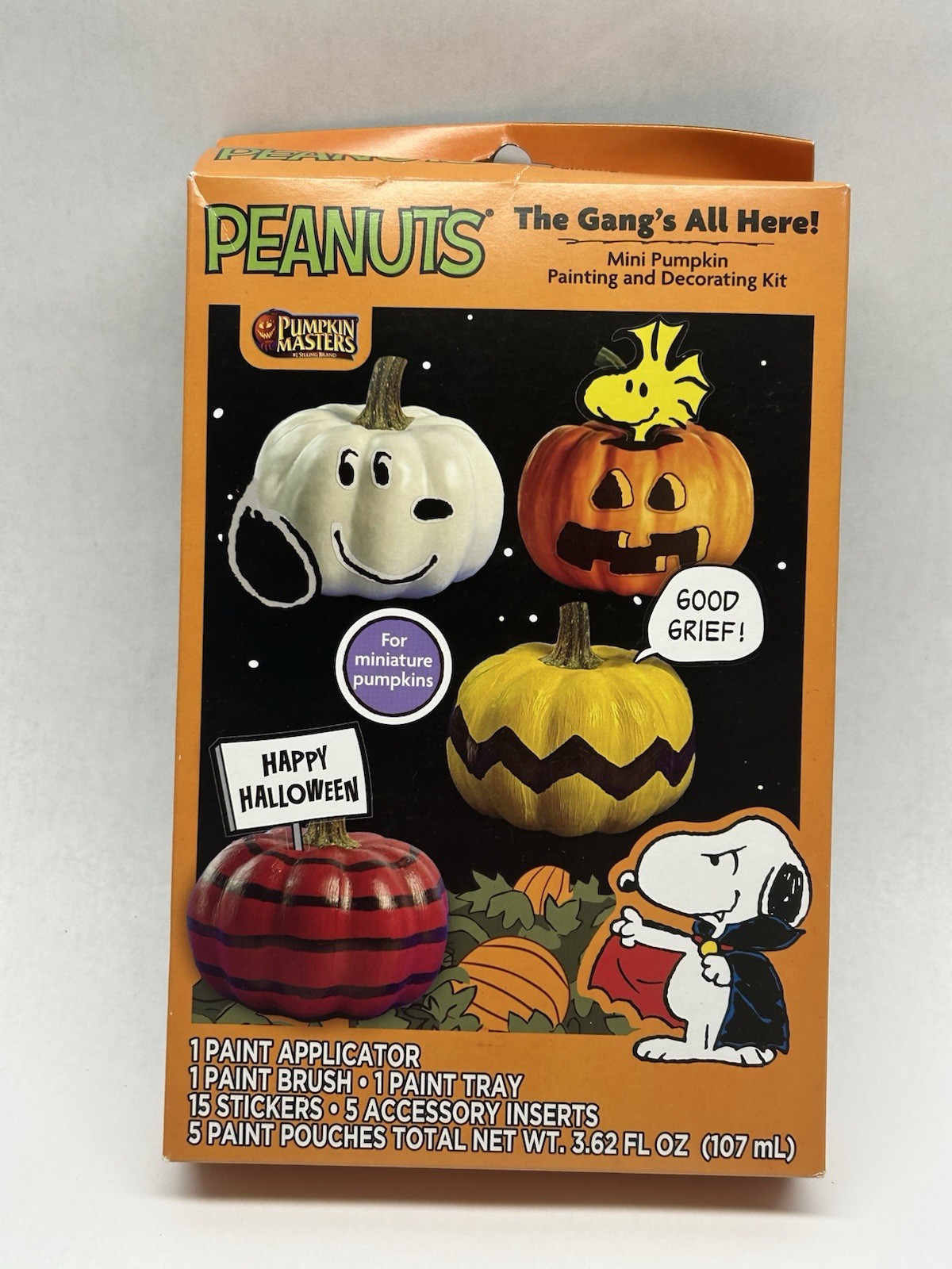 Pumpkin Masters PEANUTS Mini Pumpkin Painting And Decorating Kit NEW