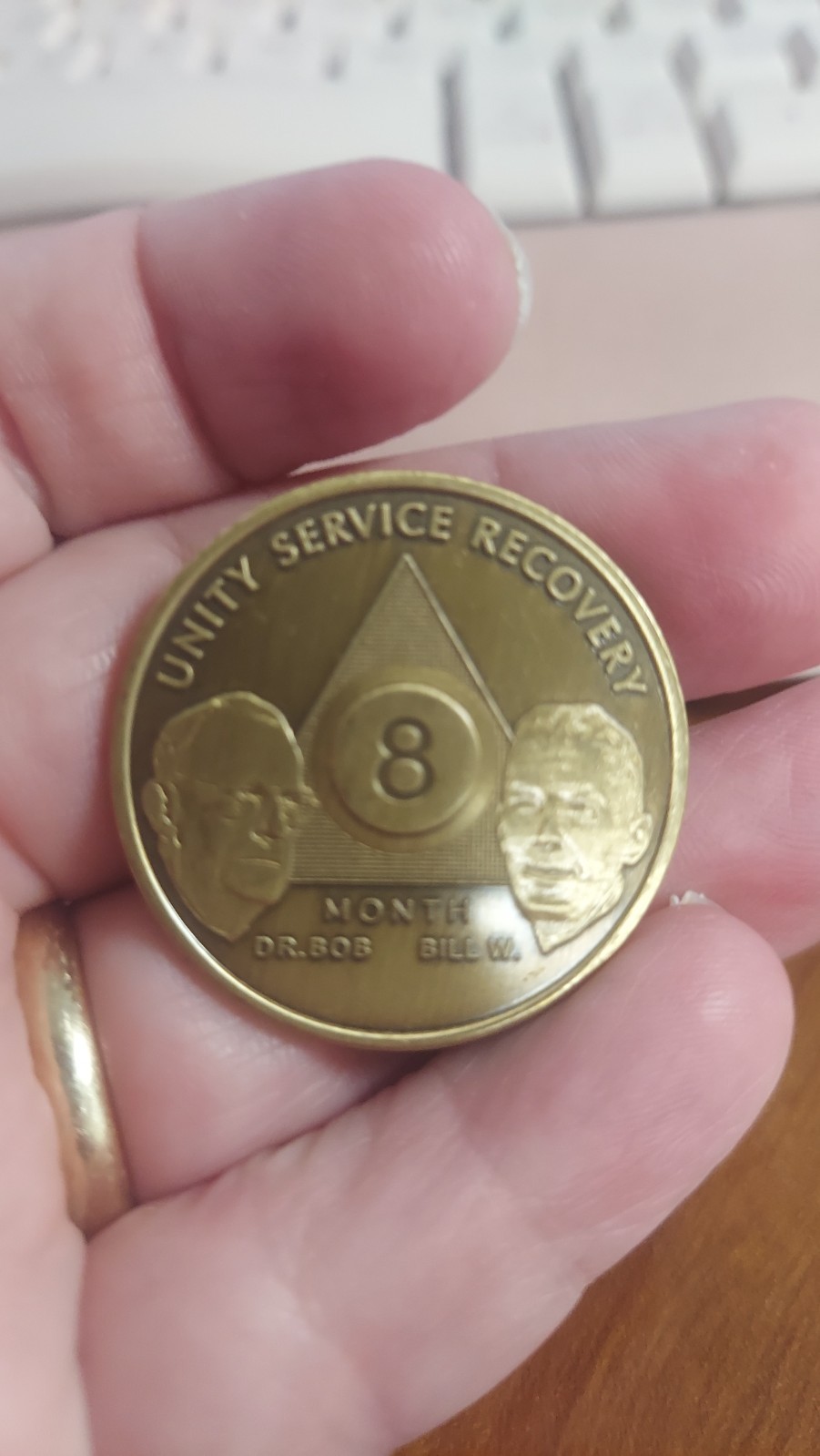 Alcoholics Anonymous AA 8 Month Bronze Medallion Coin Chip Token Sobriety Sober