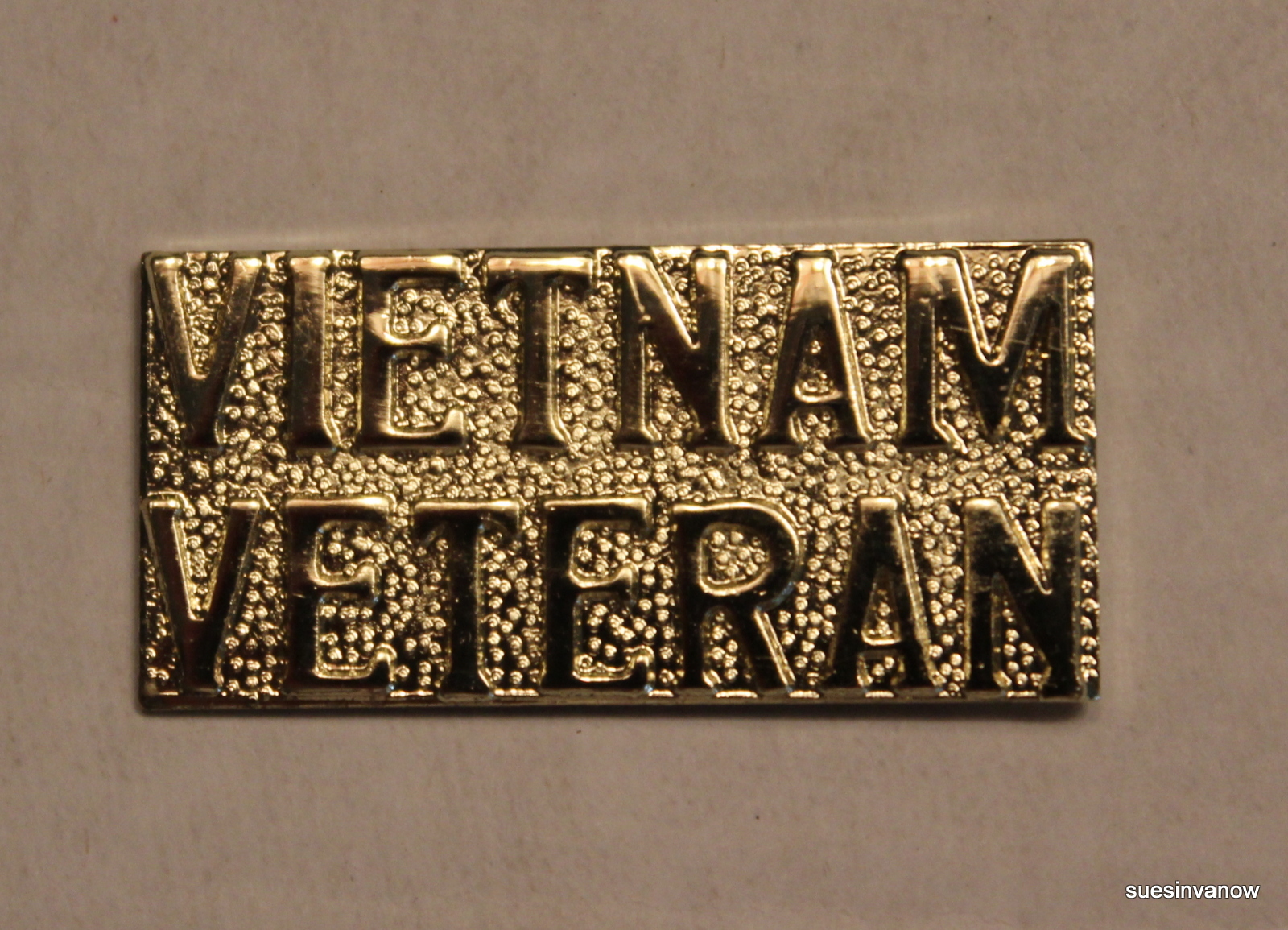Motorcycle Hat Pin Biker Military Vietnam Veteran USA