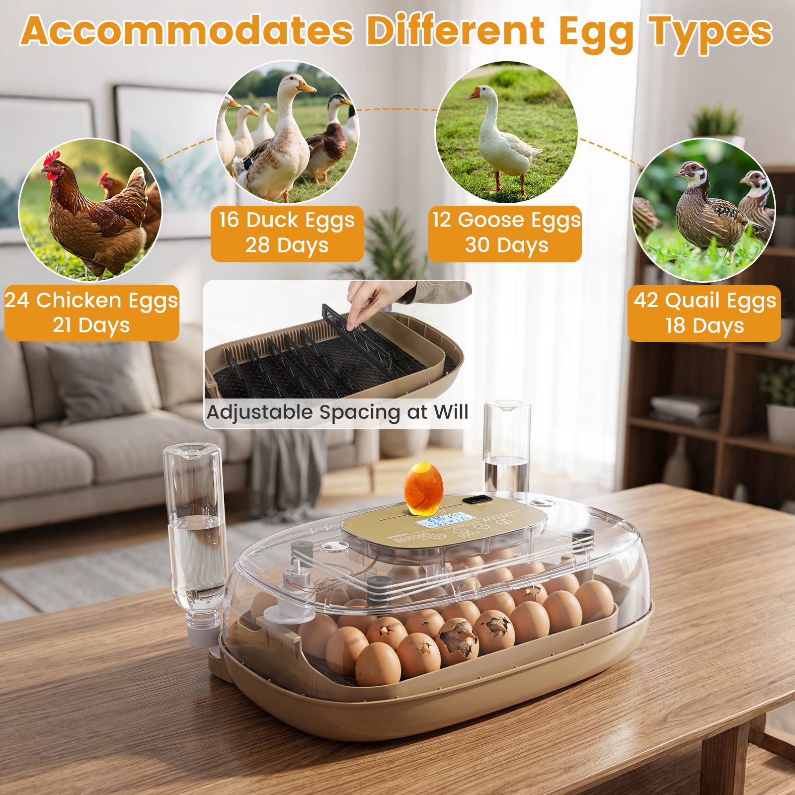 Incubator for Hatching Eggs, Automatic Egg Turner w/ Auto Water Refill, Air Vent