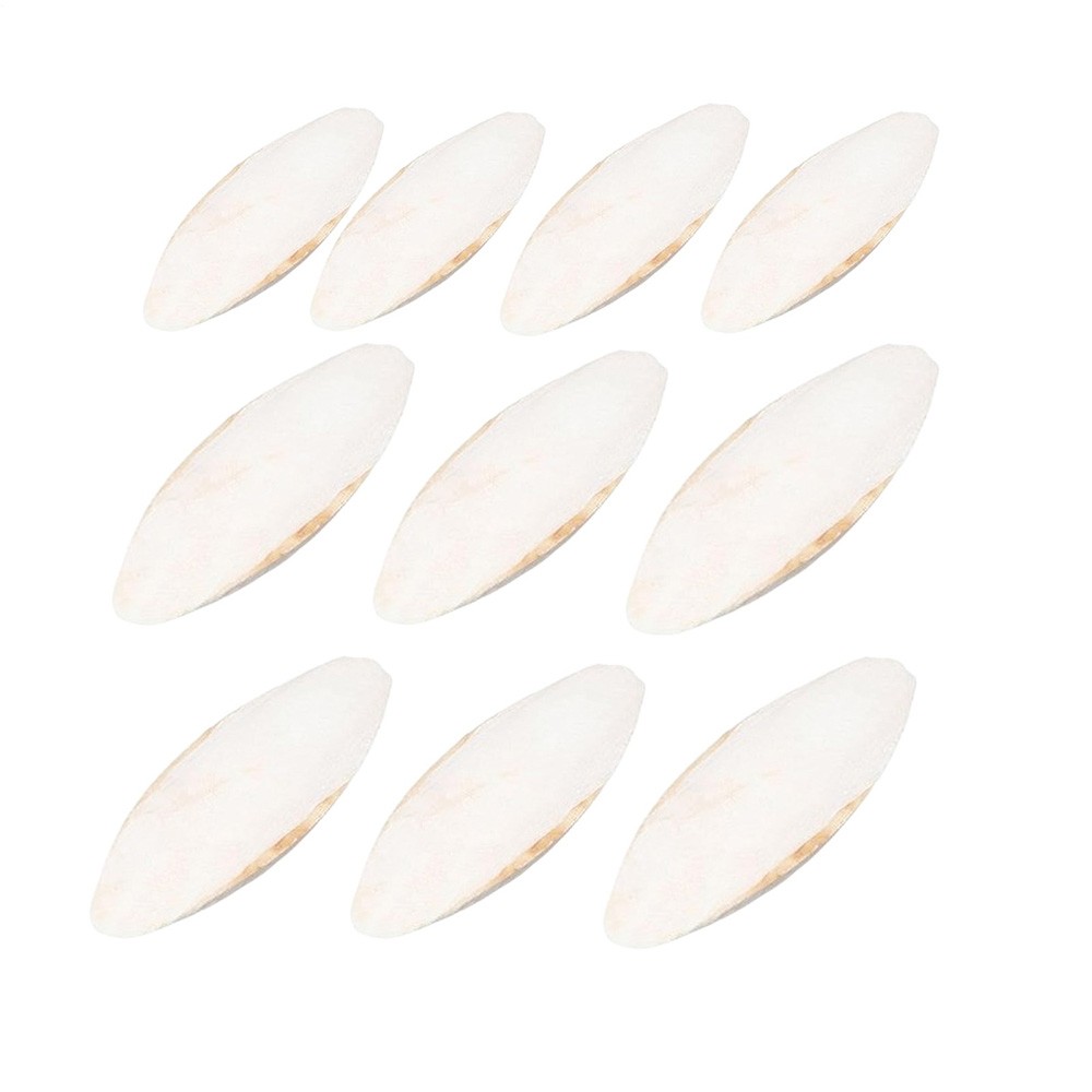 10PCS Cuttlebone Cuttlefish Bone Sepia Cuttle Fish Pet bird food Calcium Set