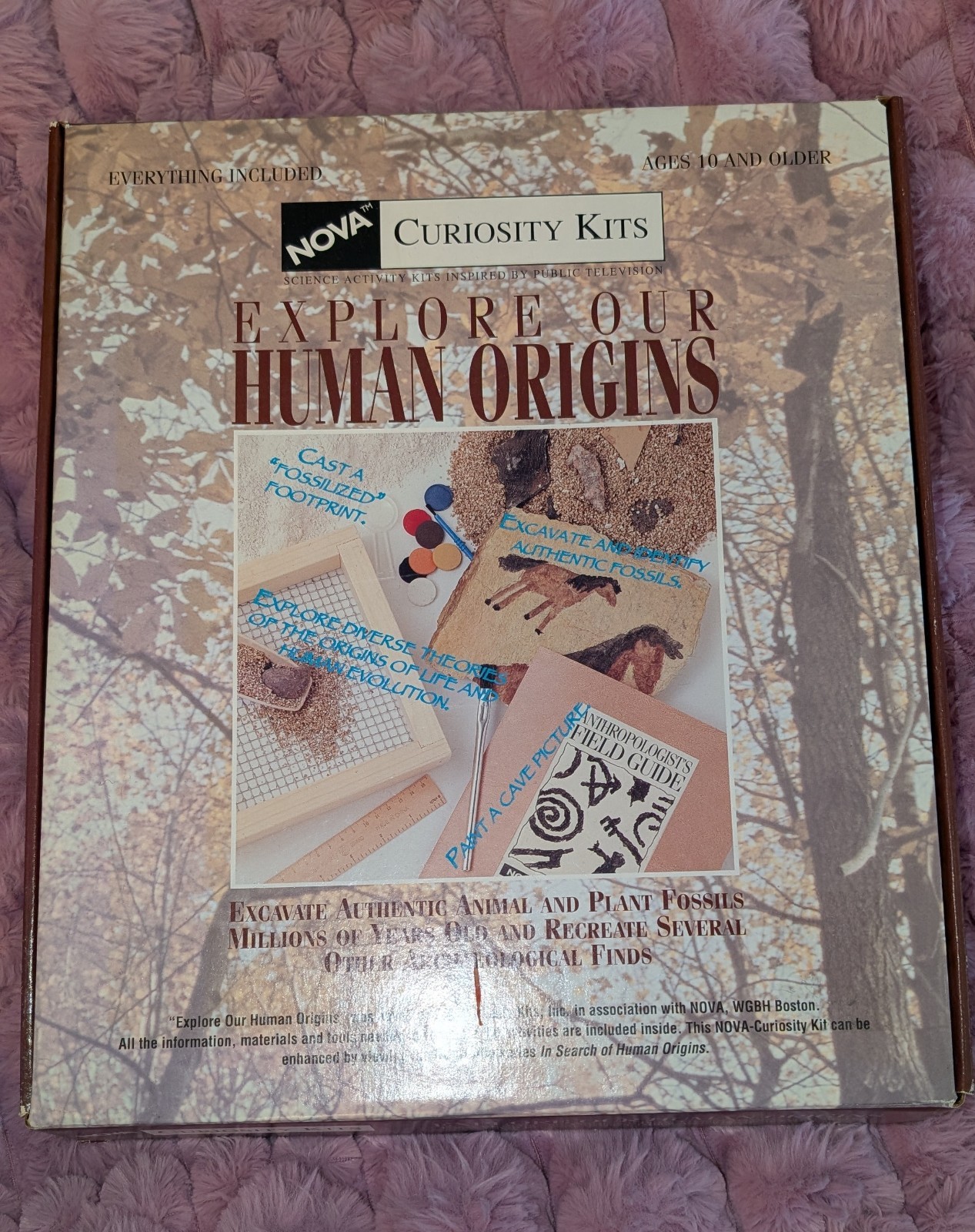 NOVA Curiosity Kit Explore Our Human Origins Archaeological Archaeology Fossils