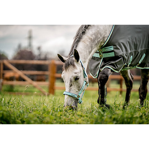Rambo FIELDSAFE Safety Halter Cob Blue Haze