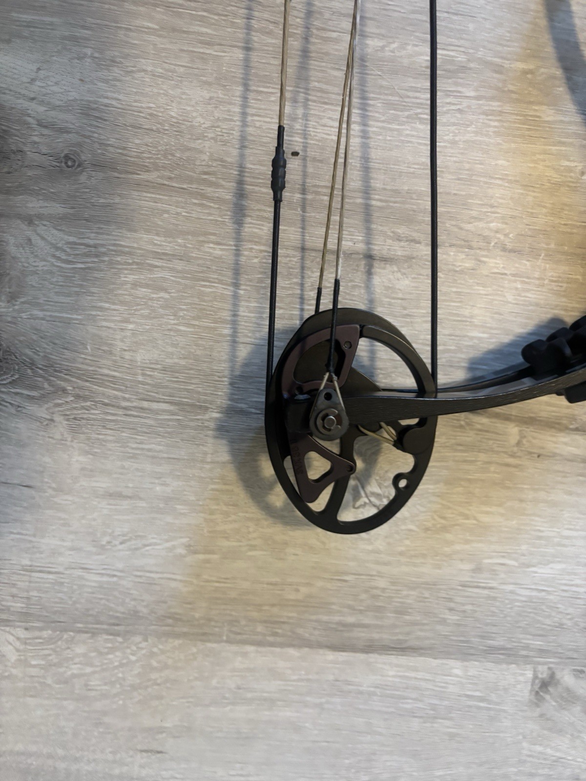 Hoyt Invicta 40 LH Compound Bow - Grey, 60 pound limbs, 29 inch draw