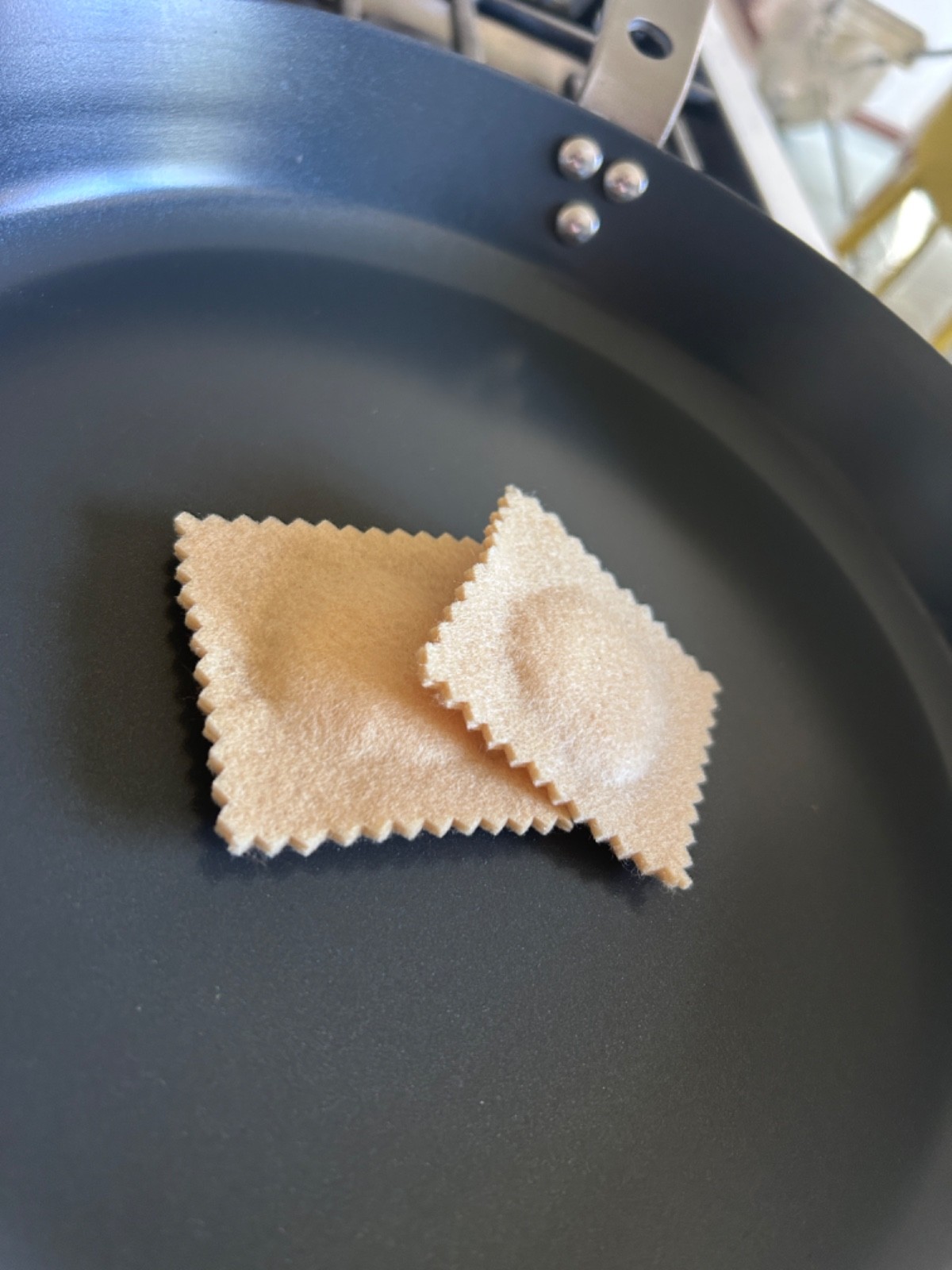 Upcycled Ravioli Felt Magnet