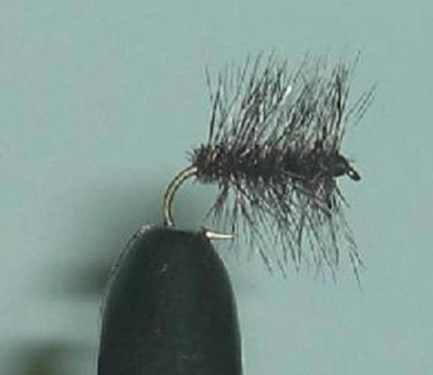 Lot of 6 Custom Angler Griffith's Gnat Fly Fishing Flies Choice of Hook Size