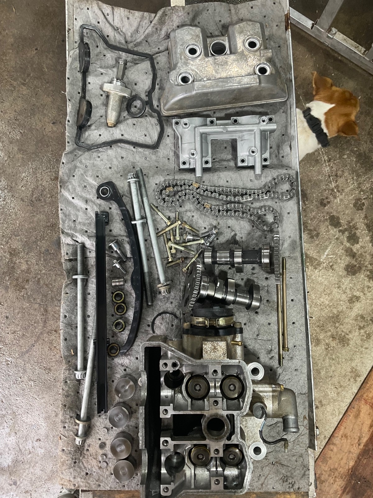 2004 Polaris Predator 500 Cylinder Head Top End Cam