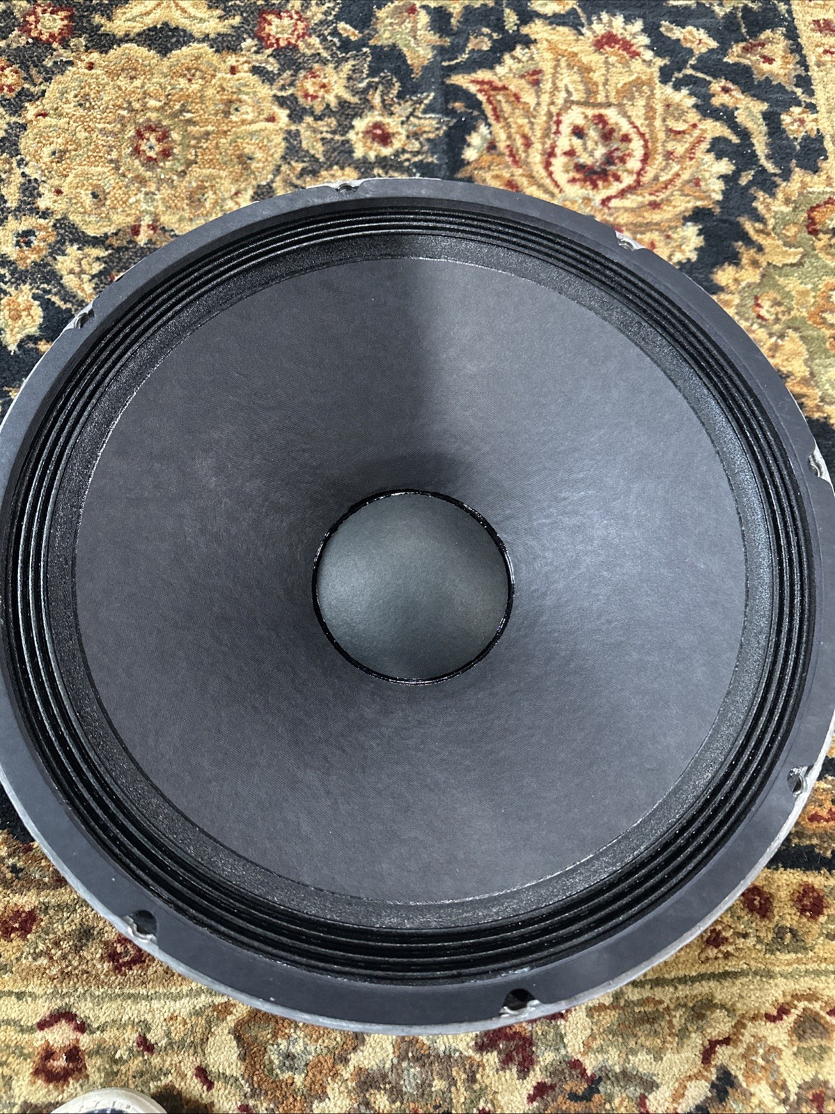 EVM 15b EV15B 15” Fresh Recone Bass Speaker 8 Ohms