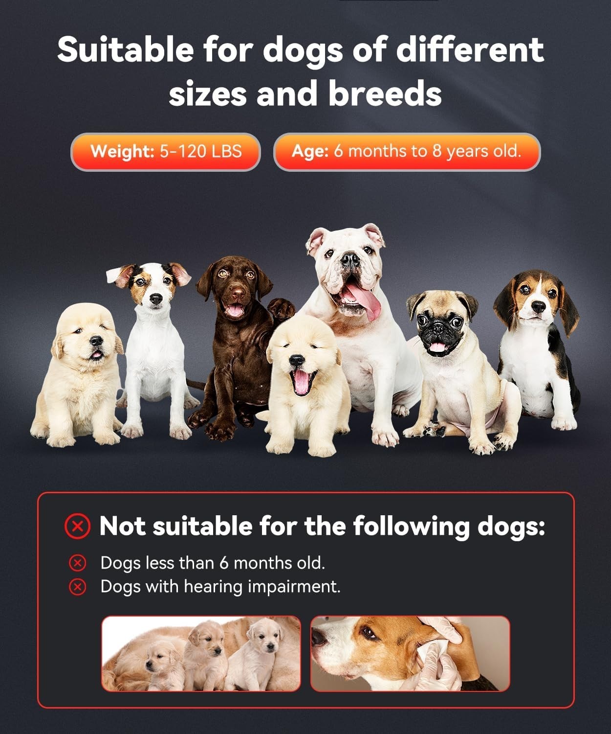 Variable Frequency Ultrasonic Dog Bark Deterrent - Efficient Behavior Corrector