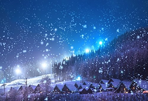 Leowefowa 5x3ft Christmas Backdrop Rustic Village Night View 5x3ft, Blue