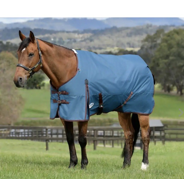 Weatherbeeta Comfitec Classic Standard Neck Plus Lite Dark Blue/Coffee-66”-New