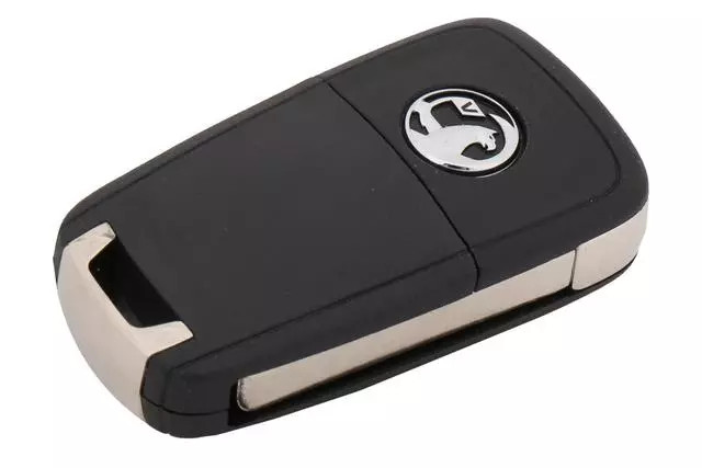 Genuine GM F (S)Key 22923865