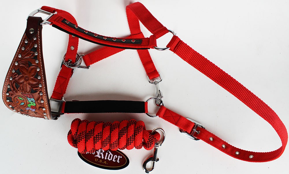 Horse Noseband Tack Bronc Leather HALTER Tiedown Lead Rope  280629