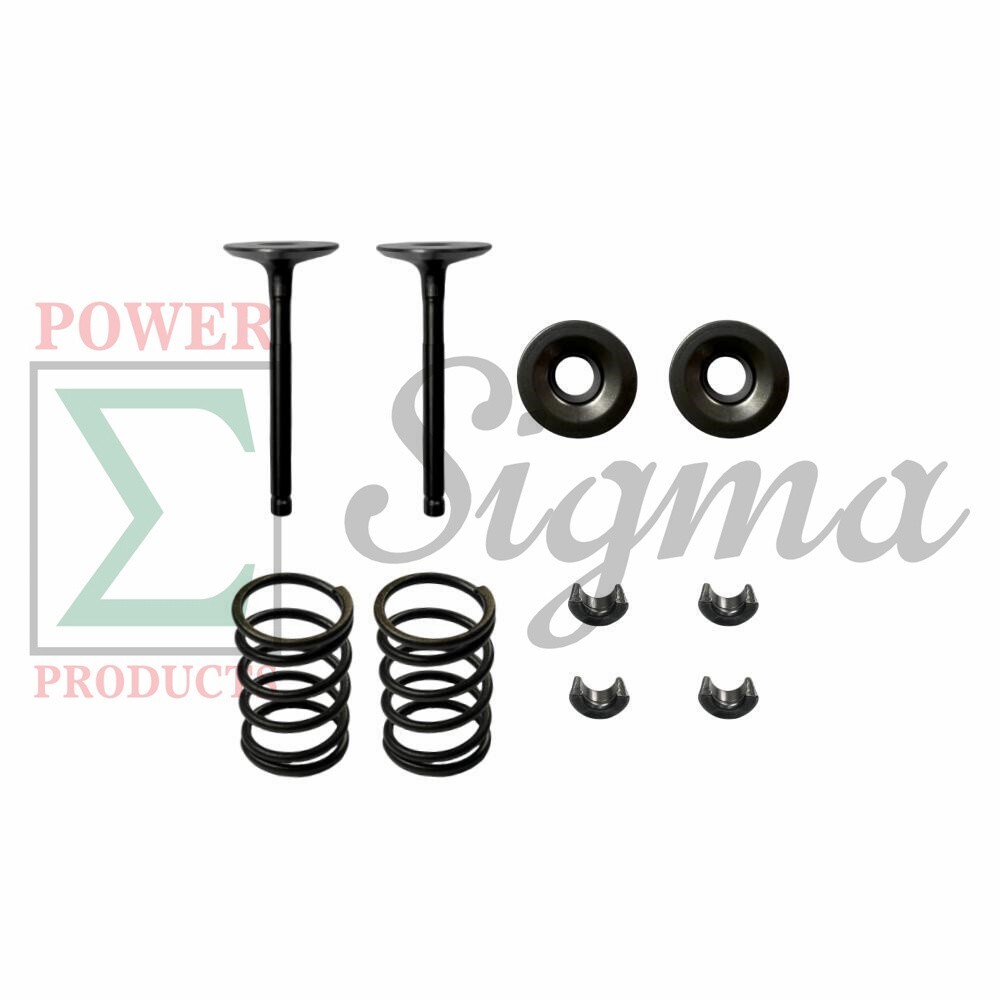 In &Ex Valve Spring for MaXpeedingrods 3500 4000 Watts 145cc Inverter Generator