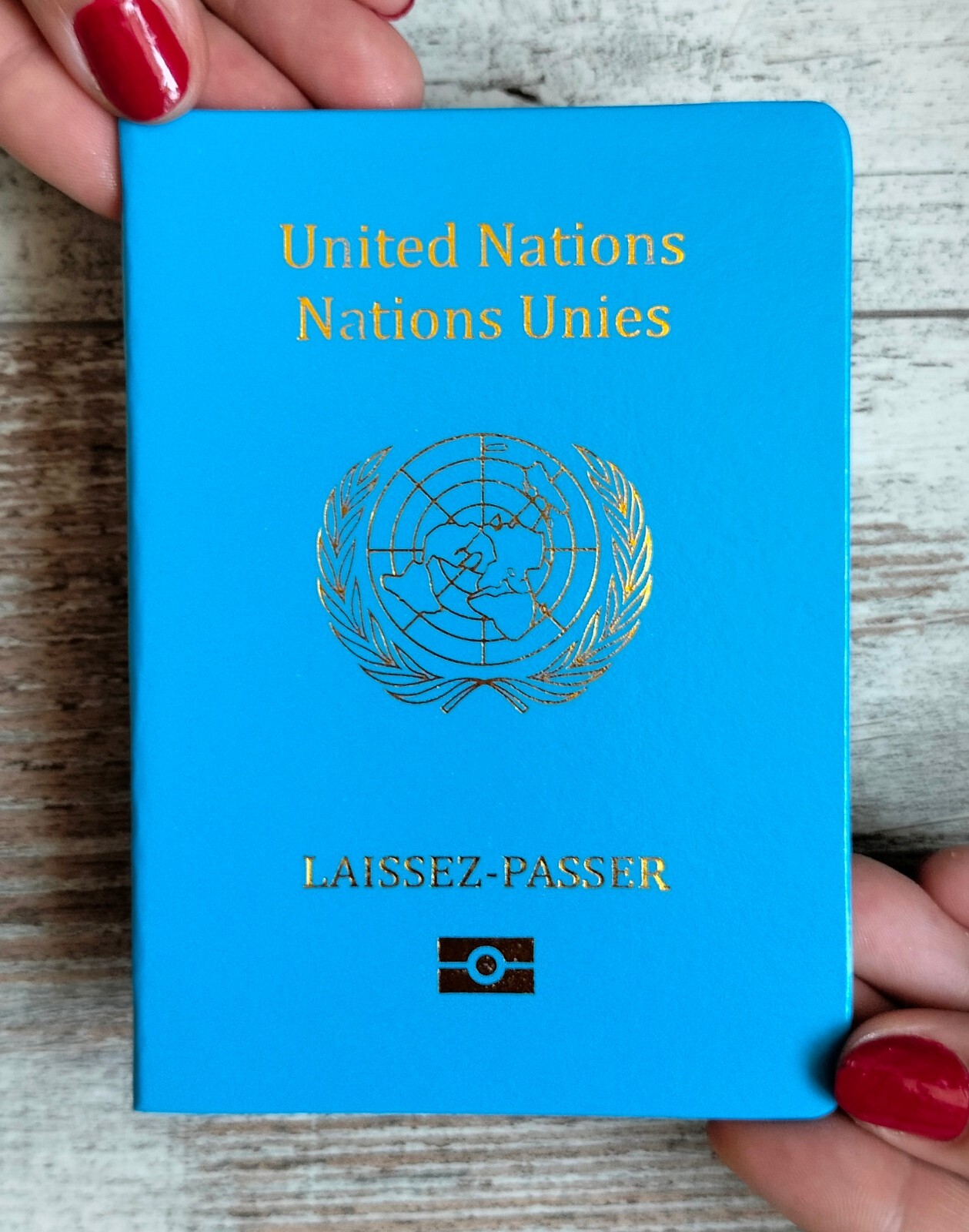 United Nations passport prop. World passport. Diplomatic passport-notebook.