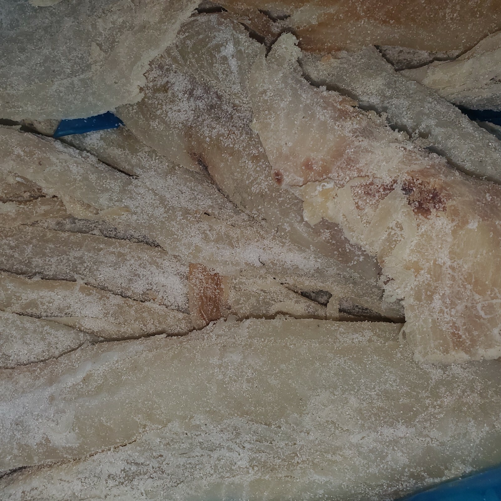 Salted Cod Fish 40 lb. Skinless Fillet. "Limited Quantity"👑👑