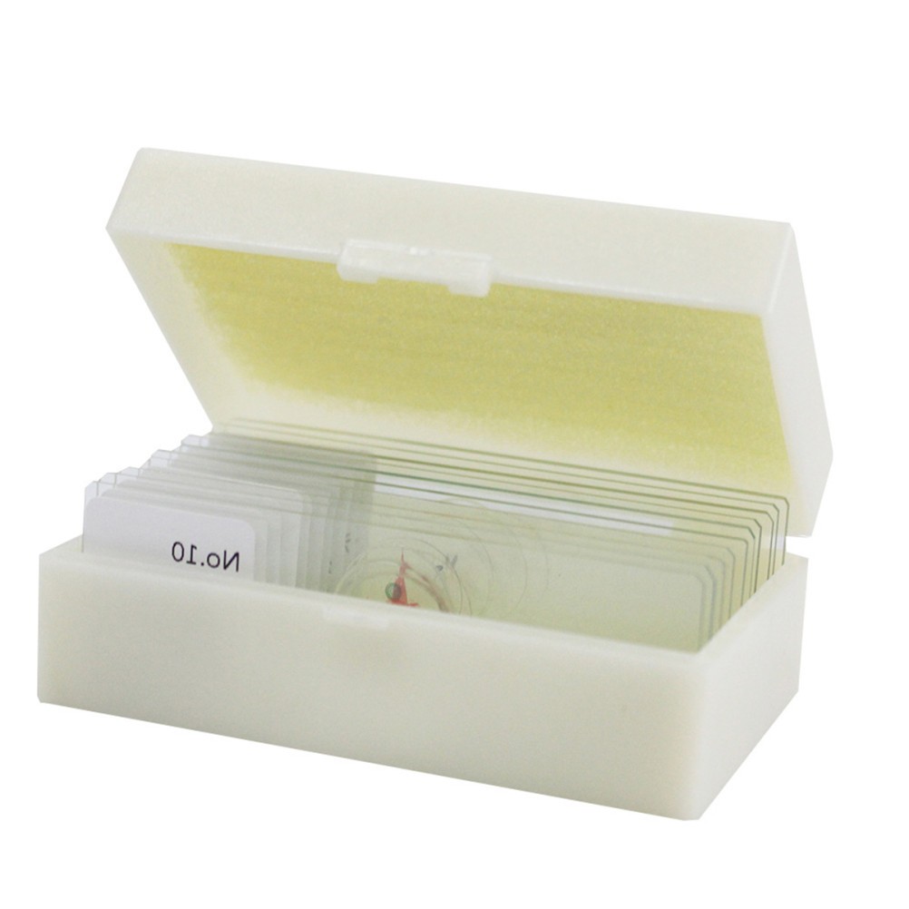 10 PCS/Set Specimen Slides for Microscope Calibration Sample Biology Lab