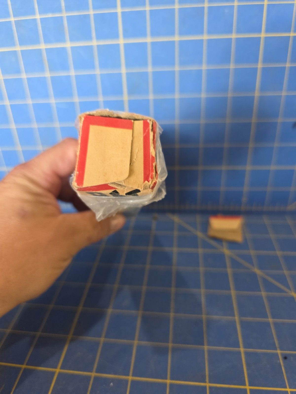 IN21 VTG Rat-nip Kills Rats Poison Box Only