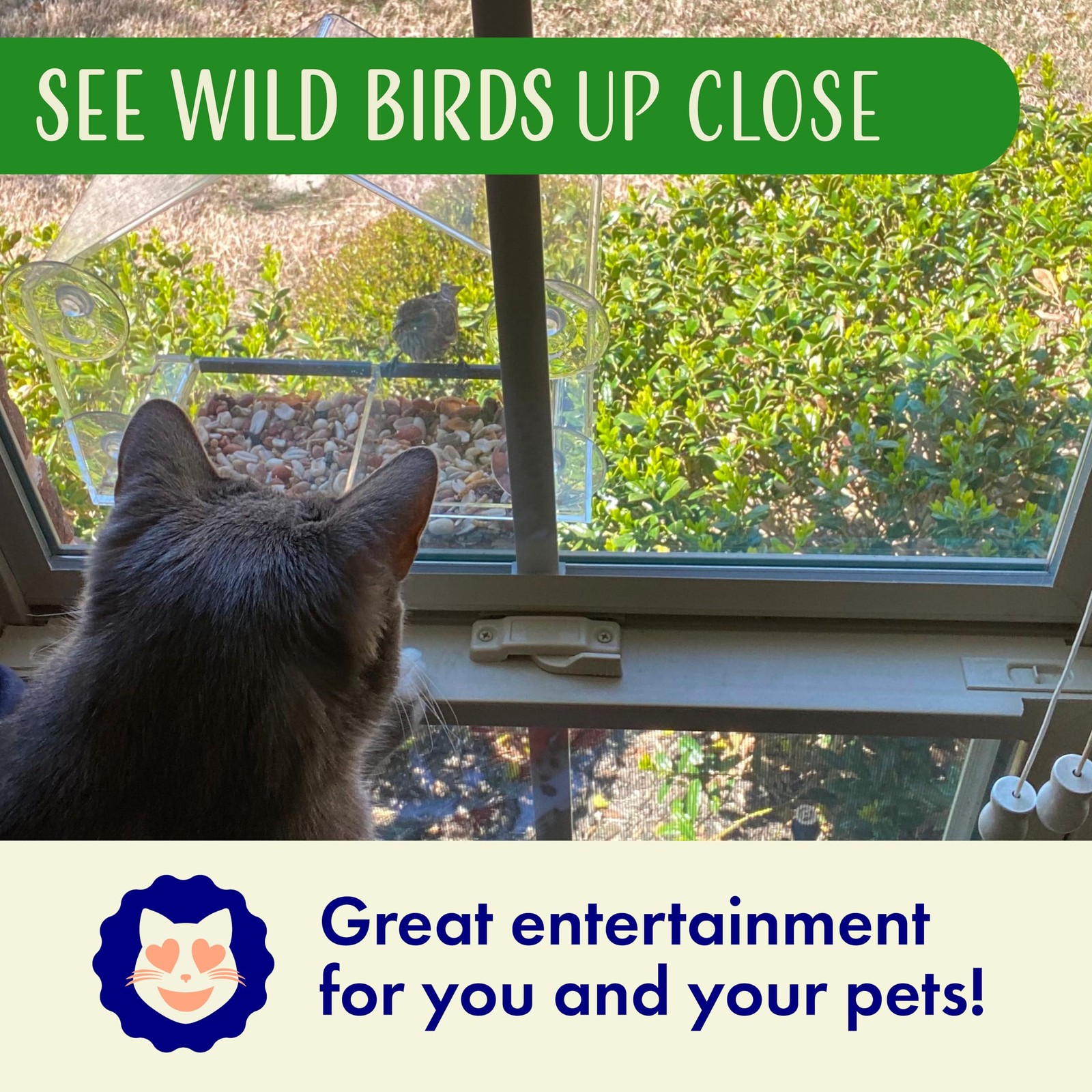Window Bird Feeder with Strong Suction Cups, Clear 9 Inch,