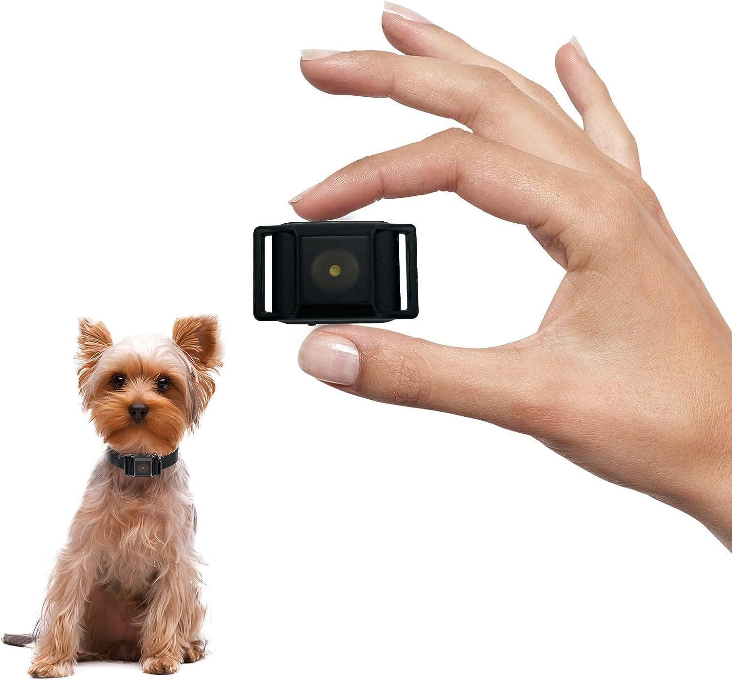 Tiniest Bark Collar for Small Dogs 5-15lbs, Only 1.6 * 1in & 0.42oz, No Shock