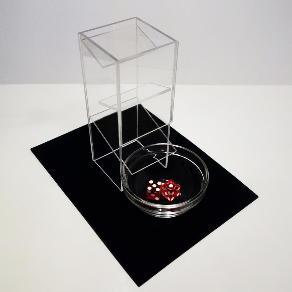 magic tricksB46 casino dice control