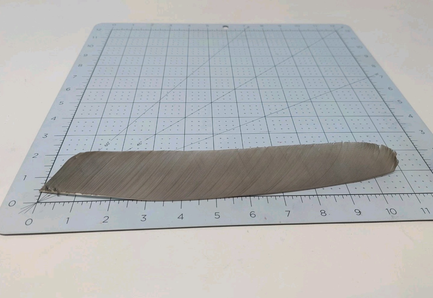 100 Pack Archery Arrow Feathers FULL LENGTH 10.5" Left Wing: Gray