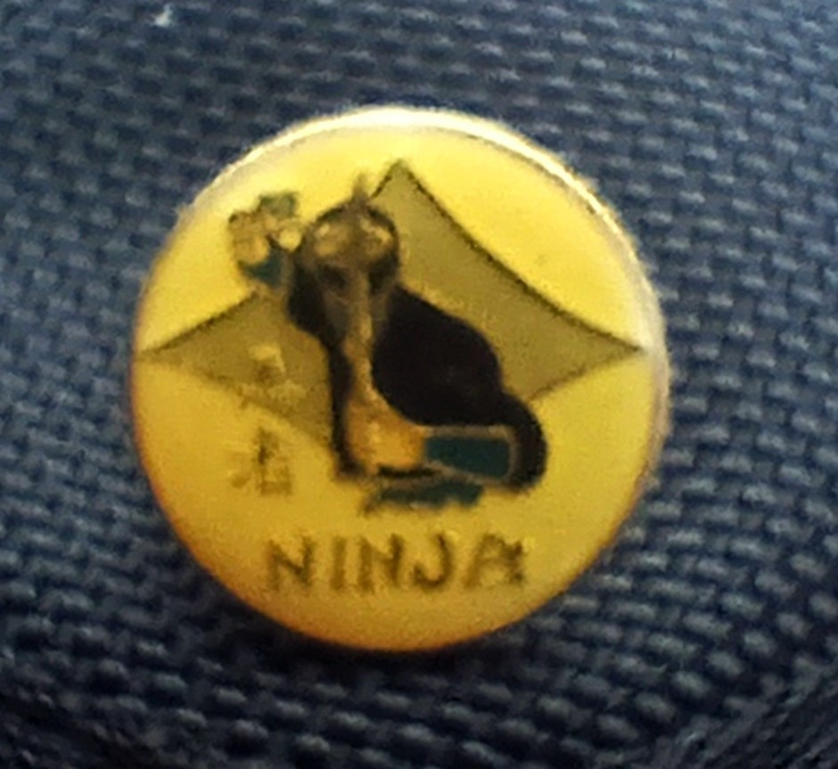 Pin Pin NINJA