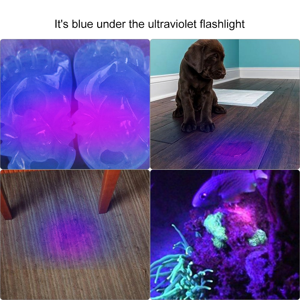 UV Flashlight LED Torch 2 in 1 White&Black Light Waterproof 395nm Light Bright