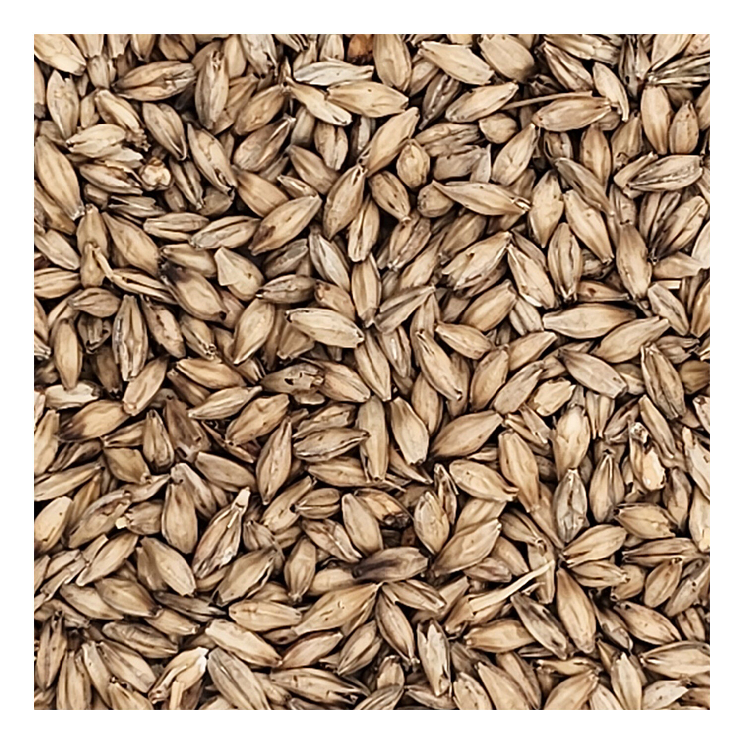 Home Brew Ohio Pale Ale Grain 1lb