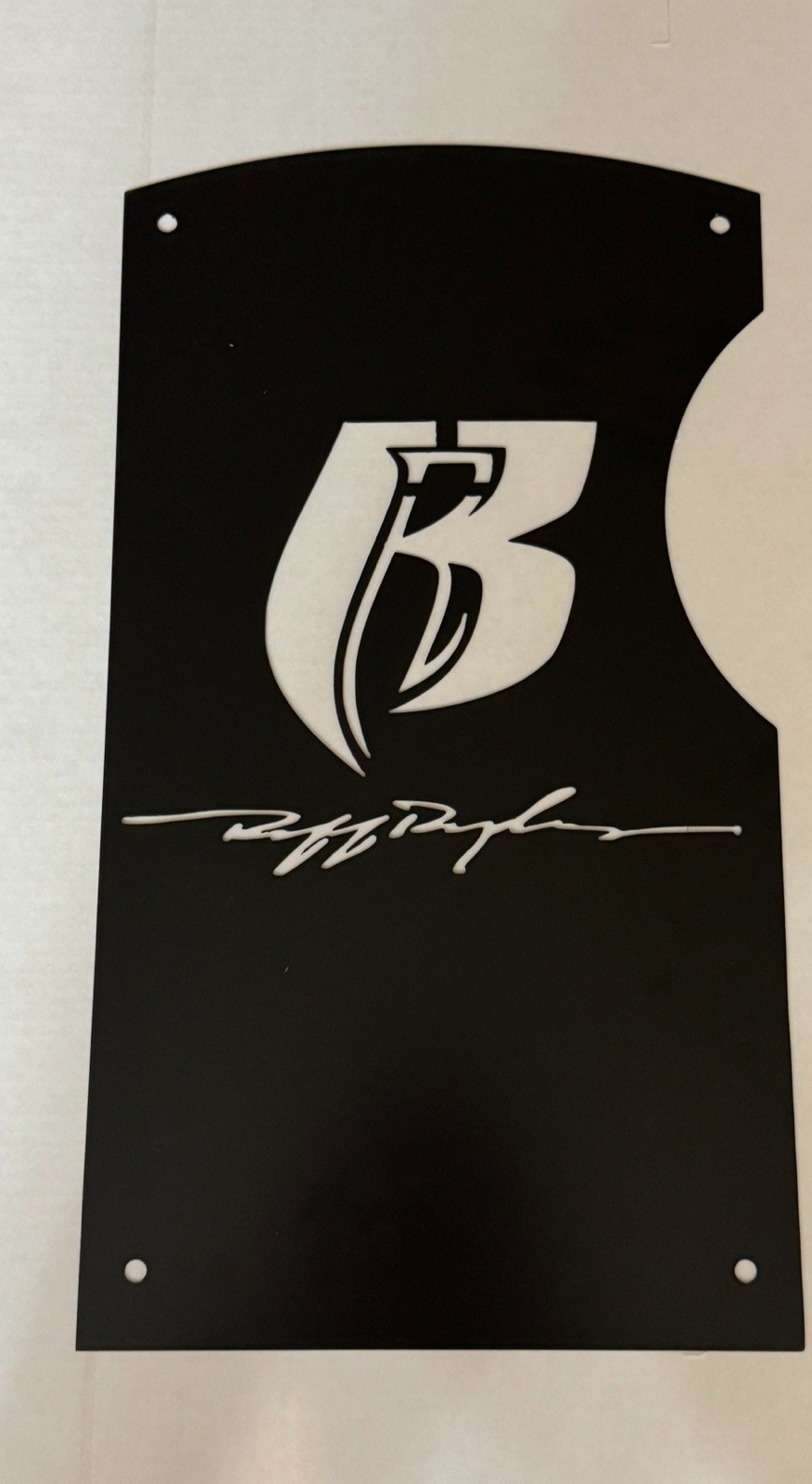 POLARIS SLINGSHOT Parts Accessories Rear Splash Panel - Logo Design (2015-2025+)