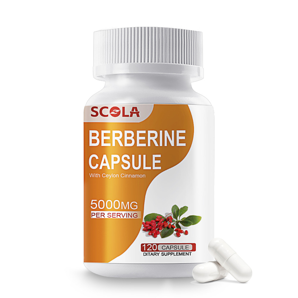 Berberine HCL Premium Extract Ceylon Cinnamon Antioxidant 5000mg 120 Capsules