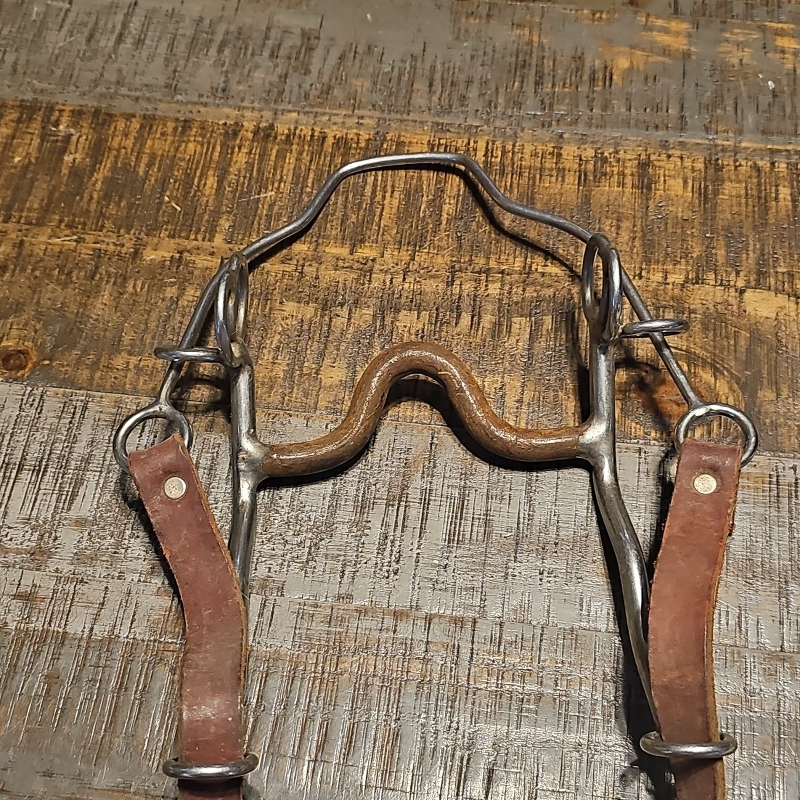 Trammell Steel Nose Grazing Bit