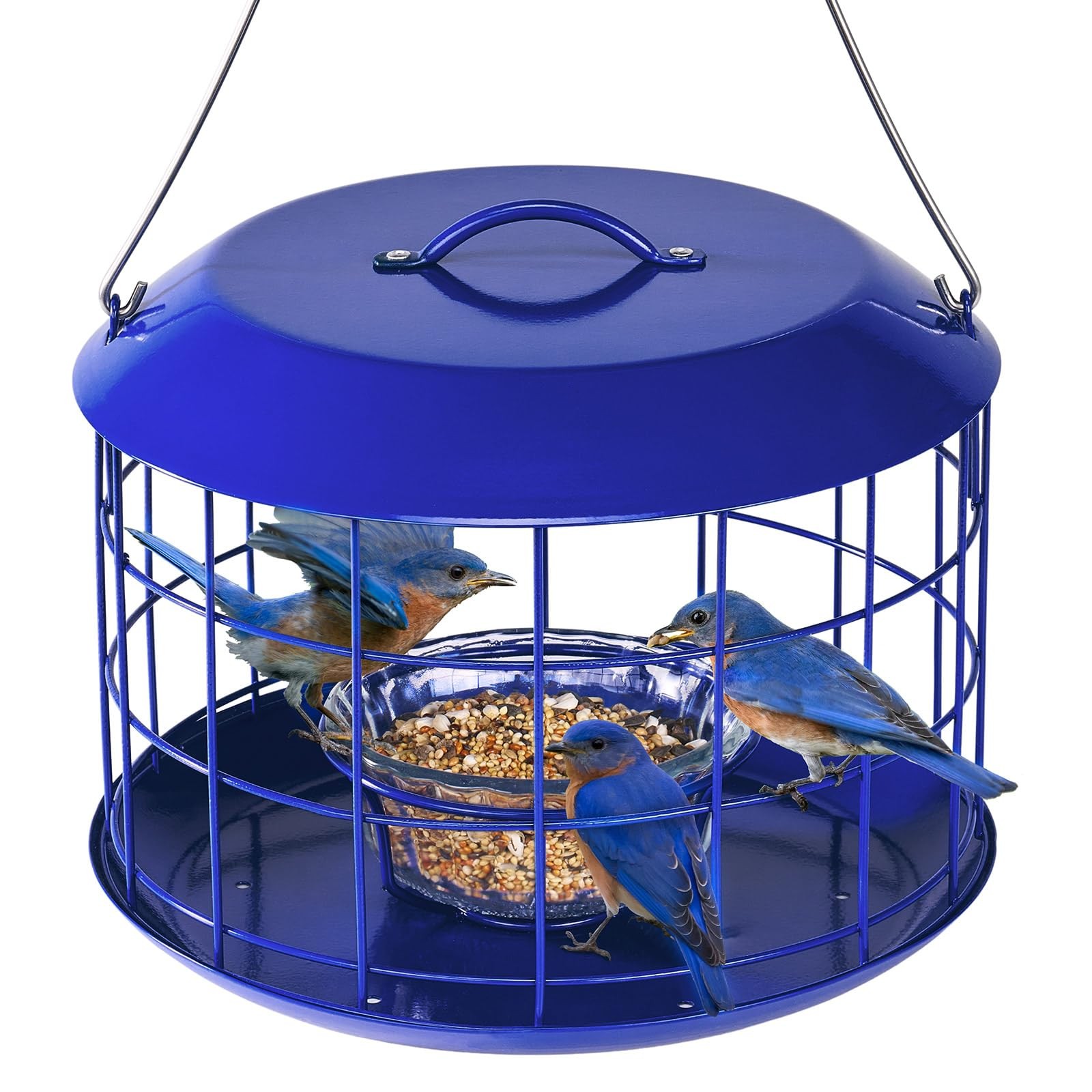 Kingsyard Bluebird Feeders for Outdoors Hanging, All Metal, Cage Blue