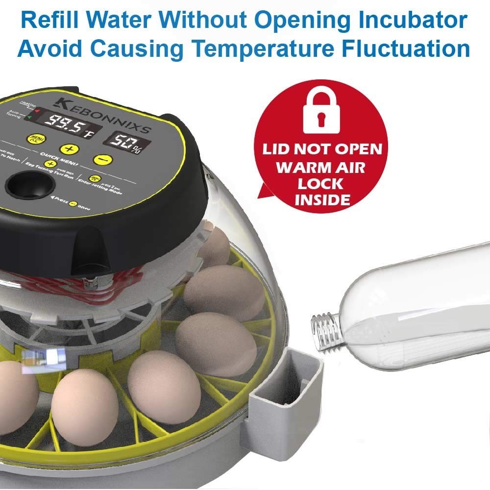 User-Friendly 12 Egg Incubator with Humidity Display & Automatic Timed Turner