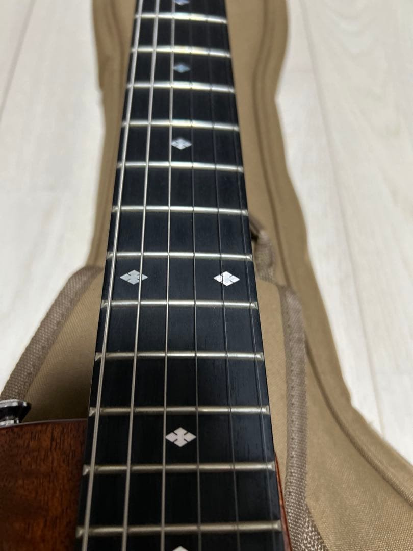 Taylor T5Z Classic Hybrid Guitar