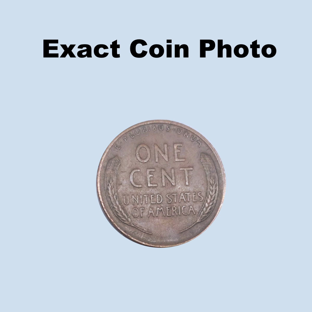 1930-D EF/XF Lincoln Wheat Penny Cent -Extremely Fine High Grade Better Date #3C